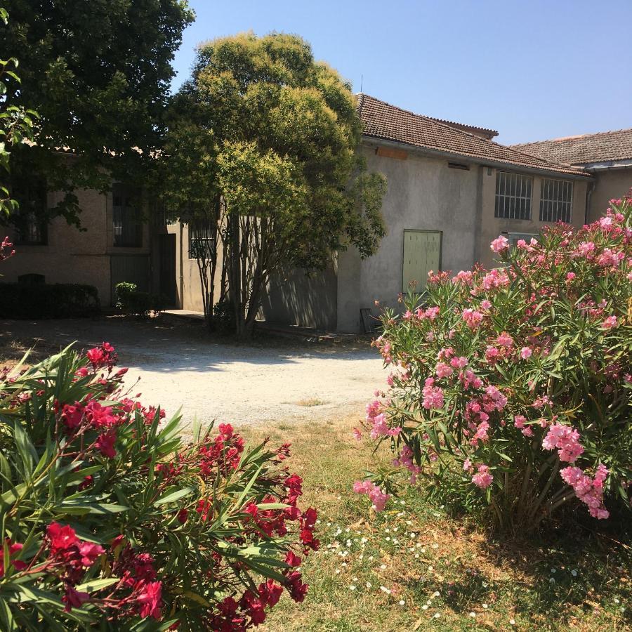 Le 139 Carcassonne Apartment Ngoại thất bức ảnh